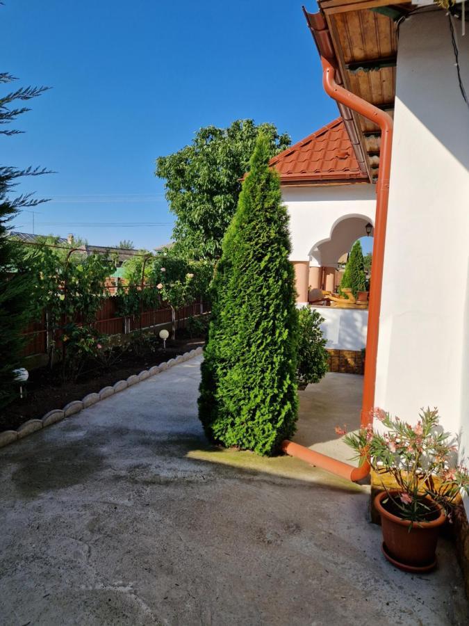 Casa Ivana Murighiol Extérieur photo