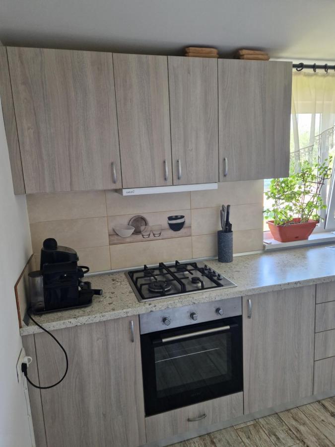 Casa Ivana Murighiol Extérieur photo
